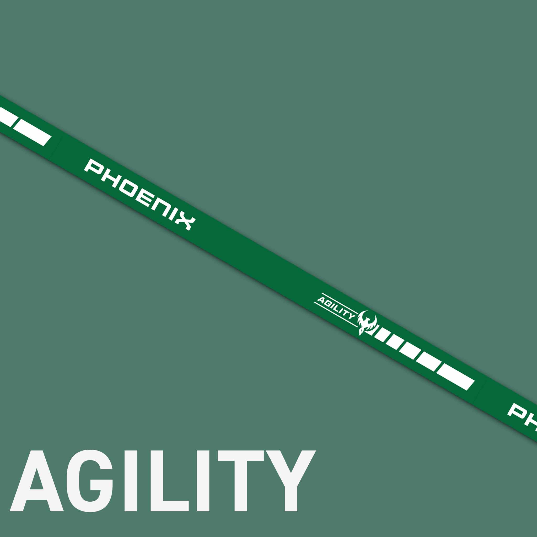 Featured image for “Agility Band”